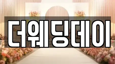 속초시 교동 웨딩드레스 TOP9