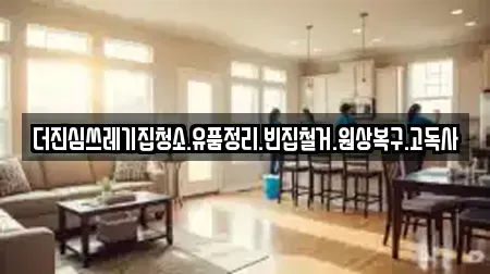 더진심쓰레기집청소.유품정리.빈집철거.원상복구.고독사