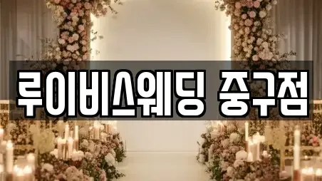 루이비스웨딩 중구점