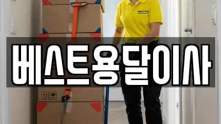 베스트용달이사