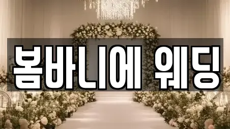 웨딩드레스 전문 서울특별시 중구 만리동1가 10업체