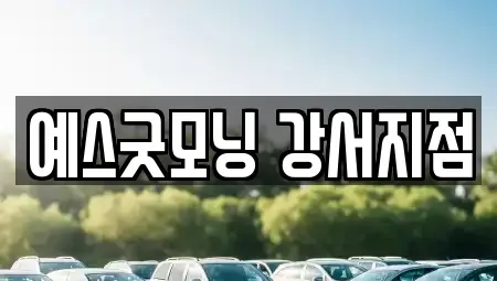 부산 강서구 명지동 렌트카 전문 예스굿모닝 강서지점