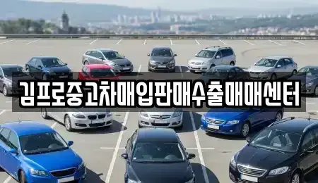 부산 강서구 명지동 중고차 전문 김프로중고차매입판매수출매매센터