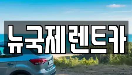 부산 금정구 단기렌트카 전문 뉴국제렌트카