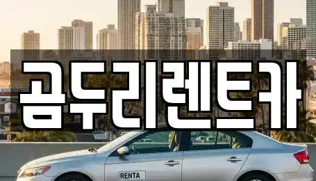 부산 금정구 렌트카 전문 곰두리렌트카