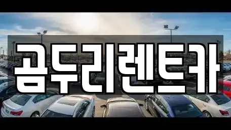 부산 금정구 부곡동 렌트카 전문 곰두리렌트카