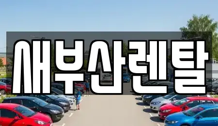 부산 금정구 부곡동 렌트카 전문 새부산렌탈