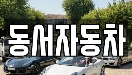부산 금정구 중고차 전문 동서자동차