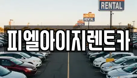 부산 남구 렌트카 전문 피엘아이지렌트카