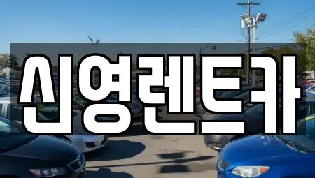 부산 남구 장기렌트카 전문 신영렌트카
