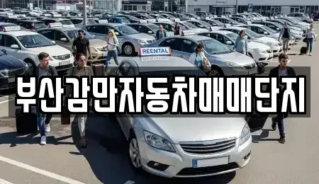 부산 남구 중고차 전문 부산감만자동차매매단지
