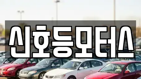 부산 남구 중고차 전문 신호등모터스