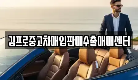 부산 남구 중고차매입 전문 김프로중고차매입판매수출매매센터