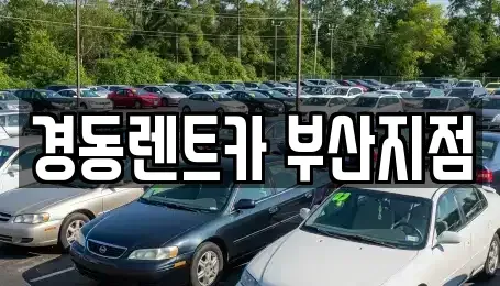 부산 동래구 단기렌트카 전문 경동렌트카 부산지점