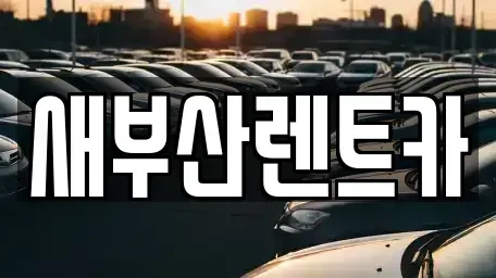 부산 동래구 단기렌트카 전문 새부산렌트카