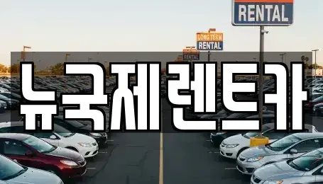 부산 동래구 안락동 렌트카 전문 뉴국제렌트카