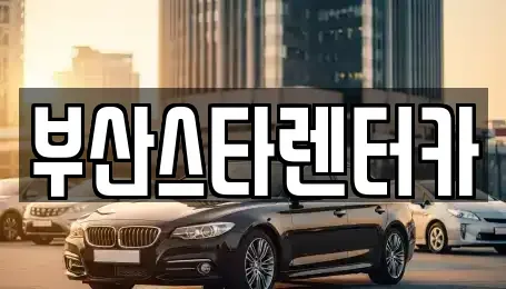 부산 동래구 안락동 렌트카 전문 부산스타렌터카