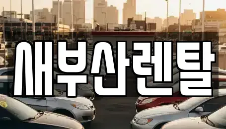 부산 동래구 안락동 렌트카 전문 새부산렌탈