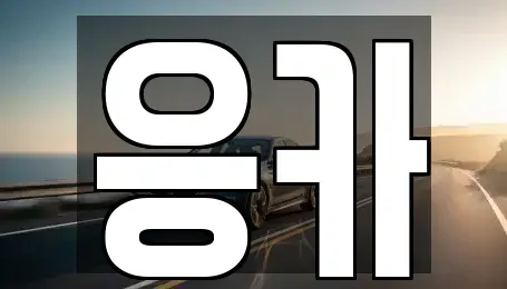 부산 동래구 안락동 렌트카 전문 응카
