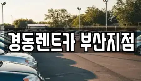 부산 동래구 안락동 장기렌트카 전문 경동렌트카 부산지점