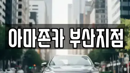 부산 동래구 안락동 장기렌트카 전문 아마존카 부산지점