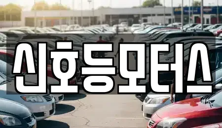 부산 동래구 중고차매매 전문 신호등모터스