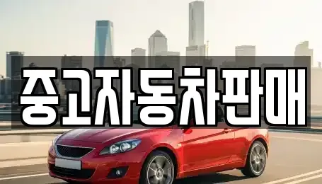 부산 동래구 중고차매매 전문 중고자동차판매