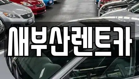 부산 부산진구 초읍동 단기렌트카 전문 새부산렌트카