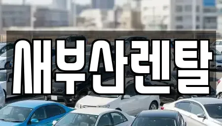 부산 부산진구 초읍동 렌트카 전문 새부산렌탈
