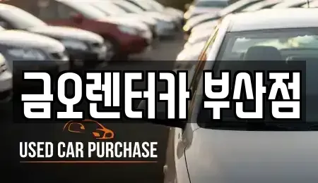 부산 부산진구 초읍동 장기렌트카 전문 금오렌터카 부산점