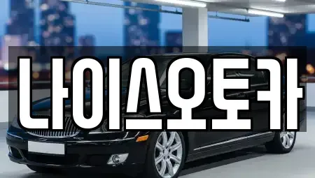 부산 부산진구 초읍동 장기렌트카 전문 나이스오토카