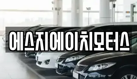부산 수영구 민락동 렌트카 전문 에스지에이치모터스