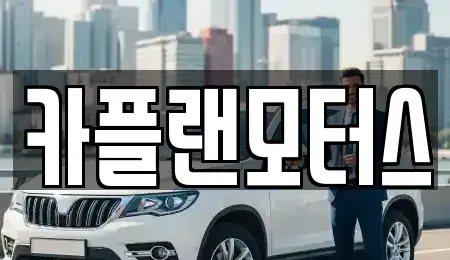 부산 수영구 민락동 렌트카 전문 카플랜모터스