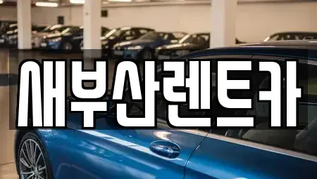 부산 영도구 대교동1가 렌트카 전문 새부산렌트카