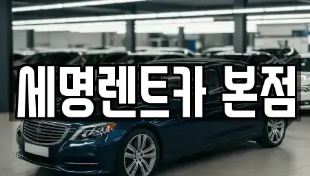 부산 영도구 대교동1가 렌트카 전문 세명렌트카 본점