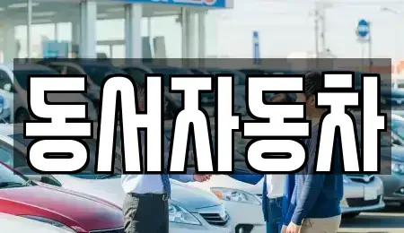 부산 중구 중앙동1가 중고차 전문 동서자동차