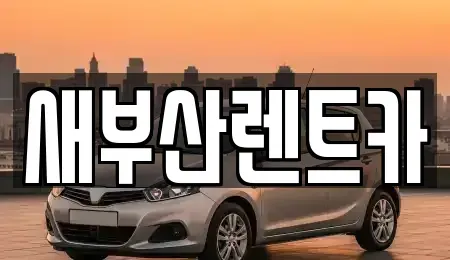 부산 중구 중앙동7가 렌트카 전문 새부산렌트카