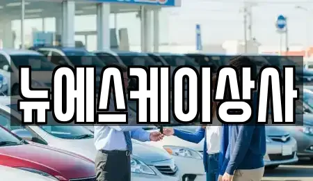 부산 해운대구 석대동 중고차매매 전문 뉴에스케이상사