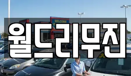 부산 해운대구 좌동 렌트카 전문 월드리무진