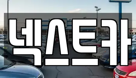 부산광역시 강서구 대저2동 장기렌트카 전문 넥스트카