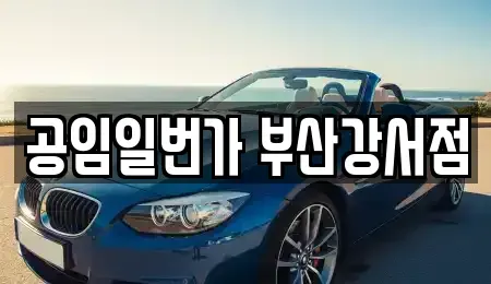 부산광역시 강서구 대저2동 중고차 전문 공임일번가 부산강서점