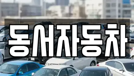 부산광역시 강서구 대저2동 중고차매매 전문 동서자동차