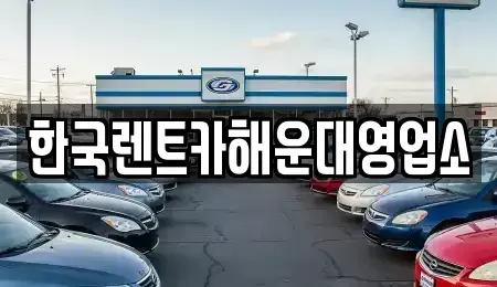 부산광역시 남구 용호동 렌트카 전문 한국렌트카해운대영업소