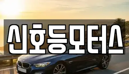 부산광역시 남구 용호동 중고차매매 전문 신호등모터스