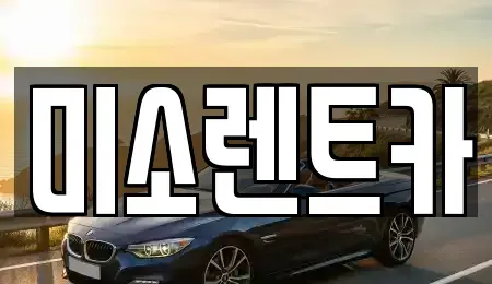 부산광역시 북구 구포동 렌트카 전문 미소렌트카