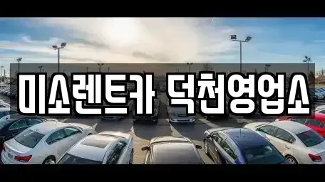 부산광역시 북구 구포동 장기렌트카 전문 미소렌트카 덕천영업소