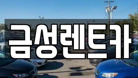부산광역시 북구 화명동 렌트카 전문 금성렌트카