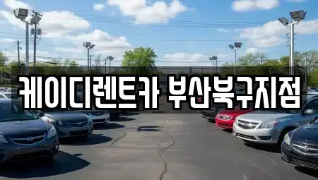 부산광역시 북구 화명동 렌트카 전문 케이디렌트카 부산북구지점