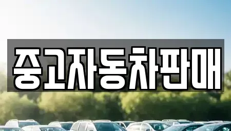 부산광역시 북구 화명동 중고차매매 전문 중고자동차판매