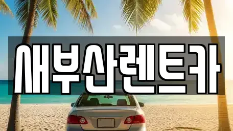 부산광역시 영도구 대평동1가 렌트카 전문 새부산렌트카